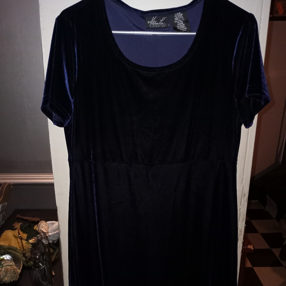 Blue velvet/velour? Dress size large